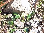 Photo DSC01676.JPG